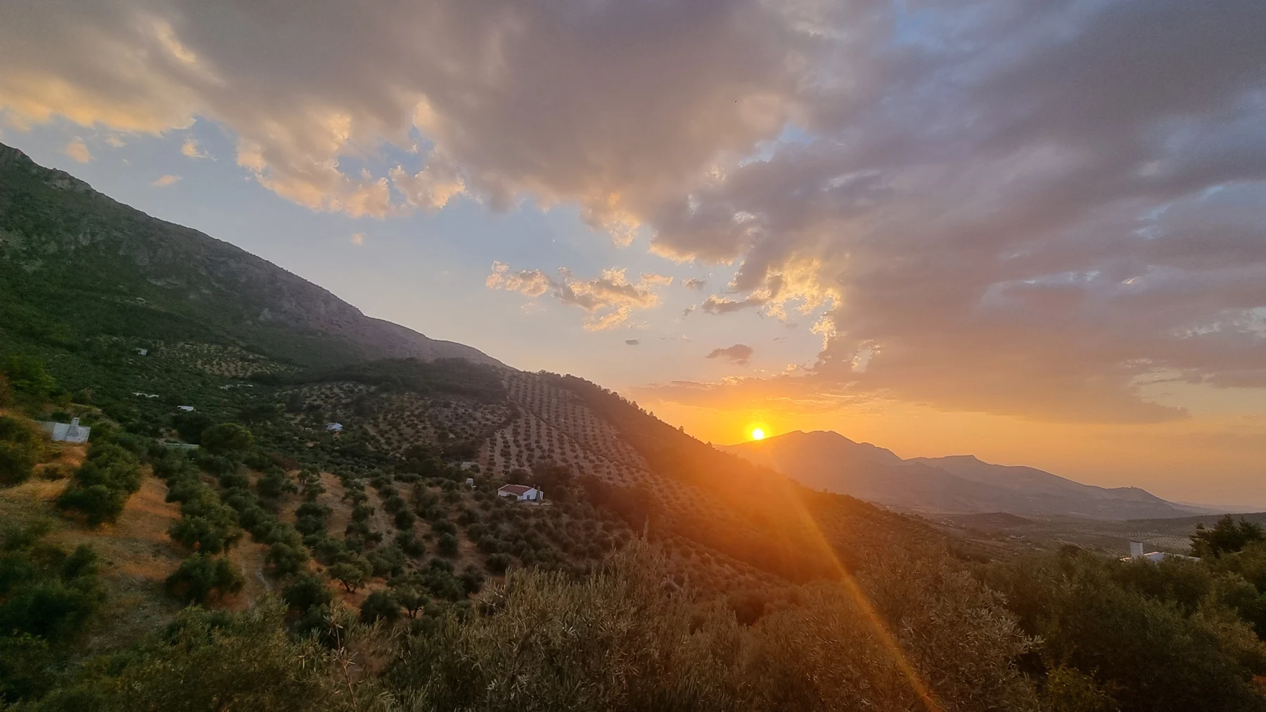 Atardecer sobre el olivar de Jaén